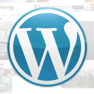 WordPress Themes